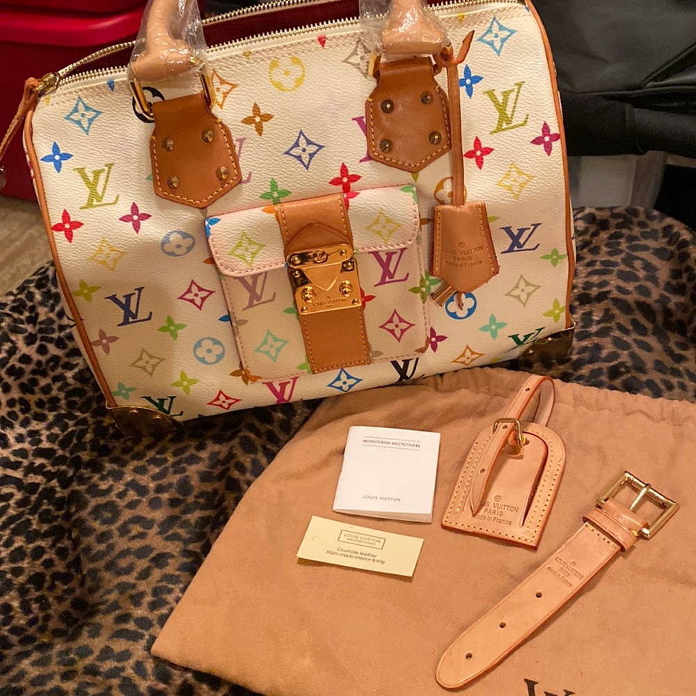 Louis Vuitton Speedy Handbag